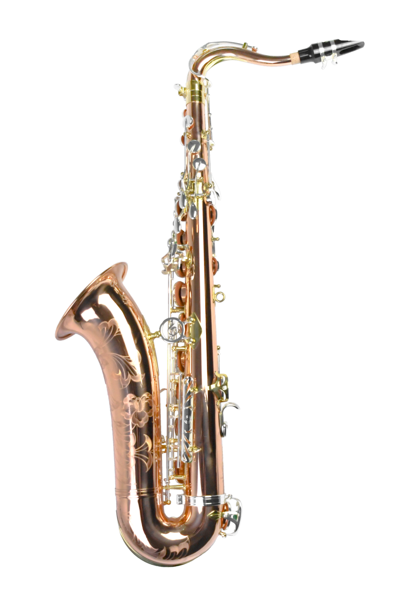 PMST-600 Venus：圖片 2